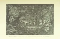 An illustration from Stanley in Afrika's donkere wildernissen, etc. [Translated from “In Darkest Afrika” by H. Tiedeman (1890)