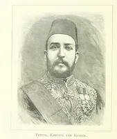 An illustration from Stanley in Afrika's donkere wildernissen, etc. [Translated from “In Darkest Afrika” by H. Tiedeman (1890)