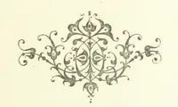 An illustration from Stanley in Afrika's donkere wildernissen, etc. [Translated from “In Darkest Afrika” by H. Tiedeman (1890)