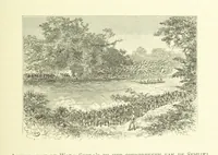 An illustration from Stanley in Afrika's donkere wildernissen, etc. [Translated from “In Darkest Afrika” by H. Tiedeman (1890)
