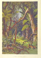 An illustration from Stanley and Africa: also, the travels, adventures, and discoveries of Captain John H. Speke, Captain Richard F. Burton ... and other distinguished explorers. [With plates, including portraits (1890)