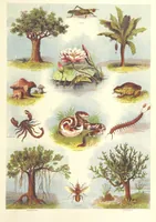 An illustration from Stanley and Africa: also, the travels, adventures, and discoveries of Captain John H. Speke, Captain Richard F. Burton ... and other distinguished explorers. [With plates, including portraits (1890)