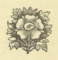An illustration from Judas Wright. [A tale (1875)