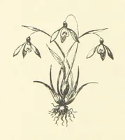 Picture 12 of 15 from St. Nicholas' Hill, Manorbier, The Wanderer, and other sketches. [In verse.] ... New edition ... enlarged (1871), leaf 220