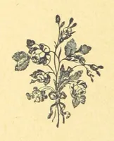 An illustration from Never Give In. A tale of the life and times of Gustavus Adolphus (1896)
