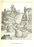 An illustration from Tatry, w dwudziestu czterech obrazach skreślone piórem i rylcem. [In verse.] ... Dzieło ozdobione 80 rvsunkami, przez autora z nautry zdiętemi, etc (1860)