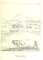 An illustration from Tatry, w dwudziestu czterech obrazach skreślone piórem i rylcem. [In verse.] ... Dzieło ozdobione 80 rvsunkami, przez autora z nautry zdiętemi, etc (1860)