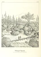Picture 45 of 79 from Tatry, w dwudziestu czterech obrazach skreślone piórem i rylcem. [In verse.] ... Dzieło ozdobione 80 rvsunkami, przez autora z nautry zdiętemi, etc (1860), leaf 184