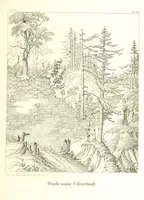 An illustration from Tatry, w dwudziestu czterech obrazach skreślone piórem i rylcem. [In verse.] ... Dzieło ozdobione 80 rvsunkami, przez autora z nautry zdiętemi, etc (1860)