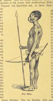 An illustration from Hundert Jahre in Wort und Bild. Eine Kulturgeschichte des XIX. Jahrhunderts herausgegeben von Dr. S. Stefan. Mit 800 Text-Illustrationen, etc (1899)