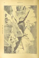 Picture 138 of 795 from Hundert Jahre in Wort und Bild. Eine Kulturgeschichte des XIX. Jahrhunderts herausgegeben von Dr. S. Stefan. Mit 800 Text-Illustrationen, etc (1899), leaf 180
