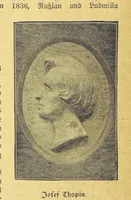 Picture 311 of 795 from Hundert Jahre in Wort und Bild. Eine Kulturgeschichte des XIX. Jahrhunderts herausgegeben von Dr. S. Stefan. Mit 800 Text-Illustrationen, etc (1899), leaf 384