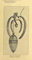 Picture 536 of 795 from Hundert Jahre in Wort und Bild. Eine Kulturgeschichte des XIX. Jahrhunderts herausgegeben von Dr. S. Stefan. Mit 800 Text-Illustrationen, etc (1899), leaf 571