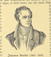 An illustration from Hundert Jahre in Wort und Bild. Eine Kulturgeschichte des XIX. Jahrhunderts herausgegeben von Dr. S. Stefan. Mit 800 Text-Illustrationen, etc (1899)