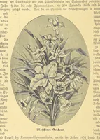Picture 77 of 795 from Hundert Jahre in Wort und Bild. Eine Kulturgeschichte des XIX. Jahrhunderts herausgegeben von Dr. S. Stefan. Mit 800 Text-Illustrationen, etc (1899), leaf 80