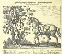 An illustration from Monographien zur deutschen Kulturgeschichte, herausgegeben von G. Steinhausen (1899)