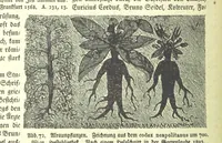An illustration from Monographien zur deutschen Kulturgeschichte, herausgegeben von G. Steinhausen (1899)