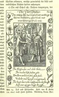 Picture 79 of 151 from Monographien zur deutschen Kulturgeschichte, herausgegeben von G. Steinhausen (1899), leaf 93