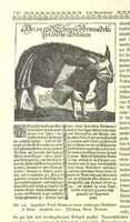 An illustration from Monographien zur deutschen Kulturgeschichte, herausgegeben von G. Steinhausen (1899)