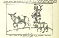 An illustration from Monographien zur deutschen Kulturgeschichte, herausgegeben von G. Steinhausen (1899)