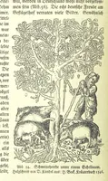 An illustration from Monographien zur deutschen Kulturgeschichte, herausgegeben von G. Steinhausen (1899)