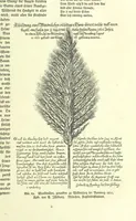 An illustration from Monographien zur deutschen Kulturgeschichte, herausgegeben von G. Steinhausen (1899)