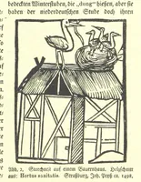 An illustration from Monographien zur deutschen Kulturgeschichte, herausgegeben von G. Steinhausen (1899)