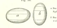 Picture 27 of 142 from Grundzüge der mathematischen Geographie und der Landkartenprojection ... Ein Handbuch für Jeden, der ohne Vorkenntniss der höheren Mathematik sich über den Gegenstand unterrichten will, etc (1857), leaf 21