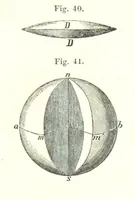 Picture 29 of 142 from Grundzüge der mathematischen Geographie und der Landkartenprojection ... Ein Handbuch für Jeden, der ohne Vorkenntniss der höheren Mathematik sich über den Gegenstand unterrichten will, etc (1857), leaf 23