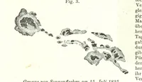 Picture 53 of 142 from Grundzüge der mathematischen Geographie und der Landkartenprojection ... Ein Handbuch für Jeden, der ohne Vorkenntniss der höheren Mathematik sich über den Gegenstand unterrichten will, etc (1857), leaf 53