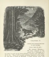 An illustration from Seonee, or, camp life on the Satpura Range ... Illustrated by the author, etc (1887)