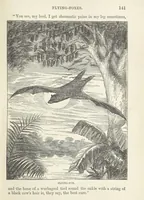 An illustration from Seonee, or, camp life on the Satpura Range ... Illustrated by the author, etc (1887)