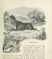 An illustration from Seonee, or, camp life on the Satpura Range ... Illustrated by the author, etc (1887)