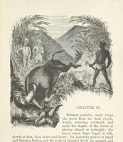 An illustration from Seonee, or, camp life on the Satpura Range ... Illustrated by the author, etc (1887)