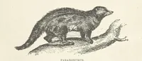 An illustration from Seonee, or, camp life on the Satpura Range ... Illustrated by the author, etc (1887)
