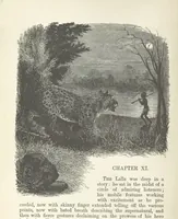 An illustration from Seonee, or, camp life on the Satpura Range ... Illustrated by the author, etc (1887)