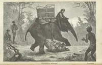 An illustration from Seonee, or, camp life on the Satpura Range ... Illustrated by the author, etc (1887)