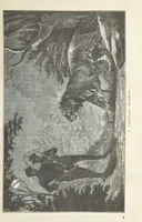 An illustration from Seonee, or, camp life on the Satpura Range ... Illustrated by the author, etc (1887)
