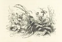An illustration from A sentimental journey through France and Italy (1857)
