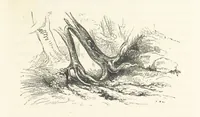 An illustration from A sentimental journey through France and Italy (1857)