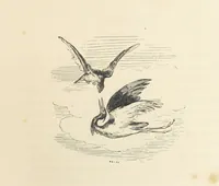 An illustration from A sentimental journey through France and Italy (1857)