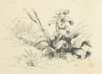Picture 31 of 107 from A sentimental journey through France and Italy (1857), leaf 85