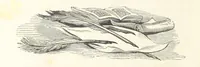 An illustration from A sentimental journey through France and Italy (1857)