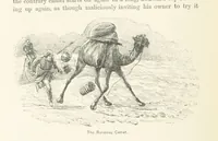 Picture 28 of 71 from Around the World on a Bicycle ... From Teheran to Yokohama. With ... illustrations (1888), leaf 102