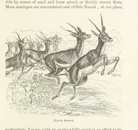 An illustration from Around the World on a Bicycle ... From Teheran to Yokohama. With ... illustrations (1888)