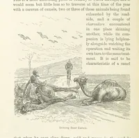 Picture 21 of 71 from Around the World on a Bicycle ... From Teheran to Yokohama. With ... illustrations (1888), leaf 76