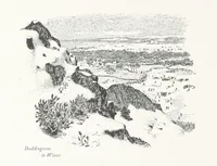Picture 58 of 62 from Edinburgh. Picturesque Notes ... With etchings by A. Brunet-Debaines from drawings by S. Bough ... and W. E. Lockhart, etc (1896), leaf 202