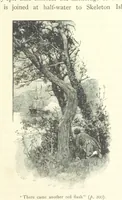 Picture 26 of 46 from Treasure Island ... New edition, with original illustrations by Wal Paget (1899), leaf 221