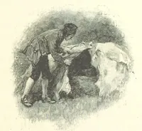 An illustration from Treasure Island ... New edition, with original illustrations by Wal Paget (1899)