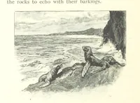 An illustration from Treasure Island ... New edition, with original illustrations by Wal Paget (1899)